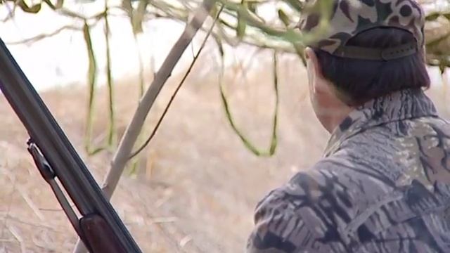 В Ярославской области открывается охота на пернатую дичь смотреть онлайн