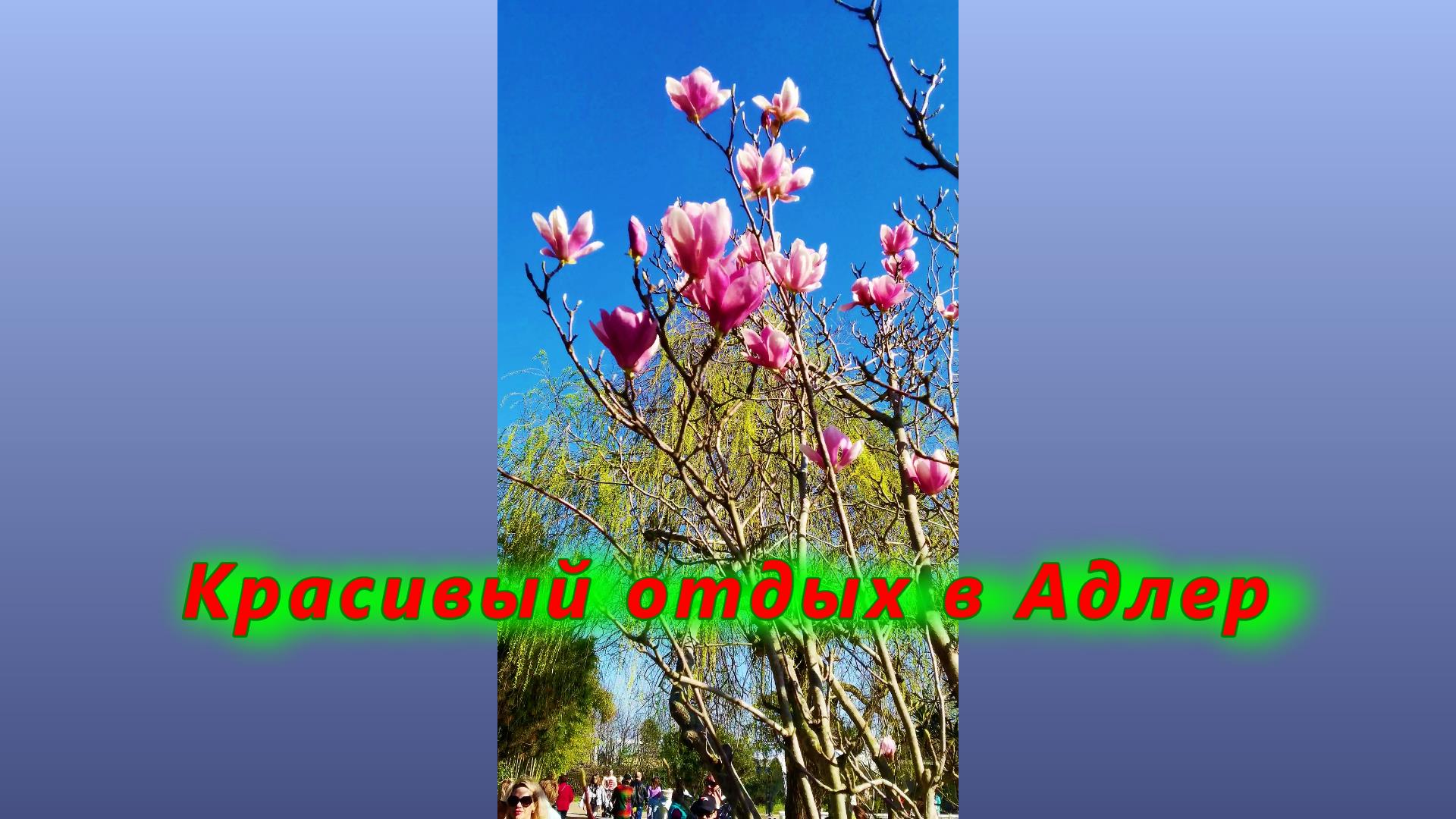 Красивый отдых в Адлере смотреть онлайн