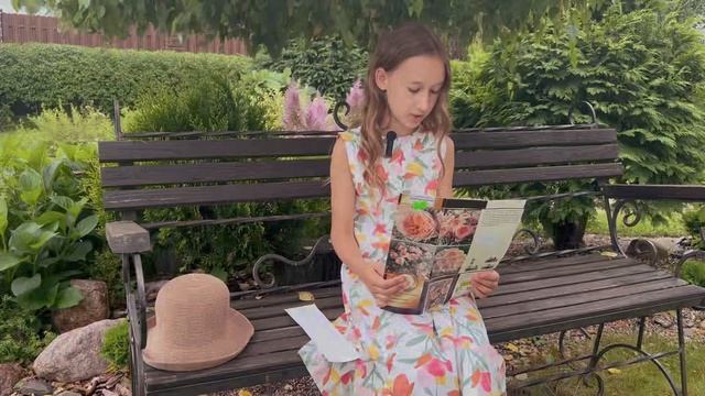 Тайны Преобразования