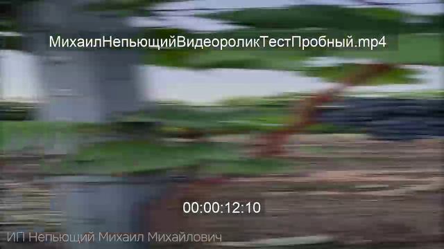 1000113244.mp4 смотреть онлайн