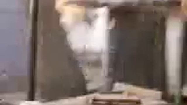 День 2400; 05.11.2002. Нина забрала собаку смотреть онлайн