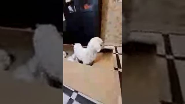 Боже мой!!! Она отказалась!