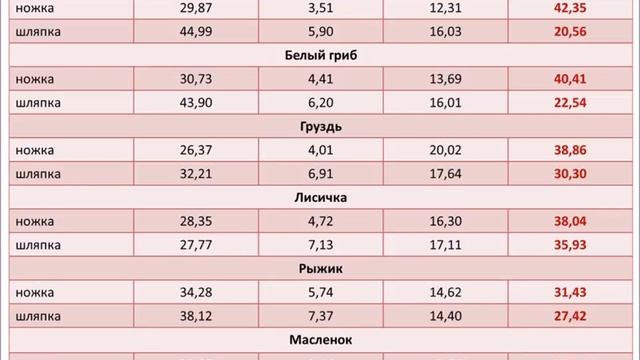 МОЖНО ЛИ ЕСТЬ ГРИБЫ? смотреть онлайн