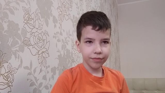 Рассказ "Растрепанный воробей" К. Паустовский пересказ смотреть онлайн