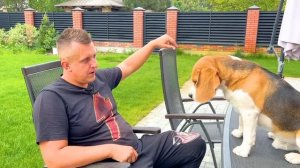 ШЕРЛОК ХОЧЕТ СЕБЕ БРАТЬЕВ. БРОС ШОУ ПЕТ