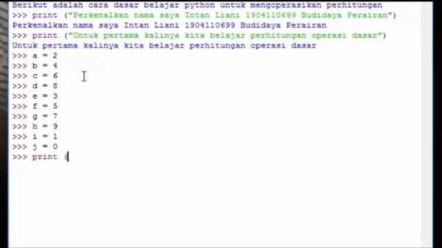 Cara Penggunaan Dasar Python 3.8 Untuk Perhitungan Dasar by.Intan Liani BDP Universitas Riau смотреть онлайн