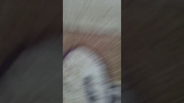 9 часть род смотреть онлайн