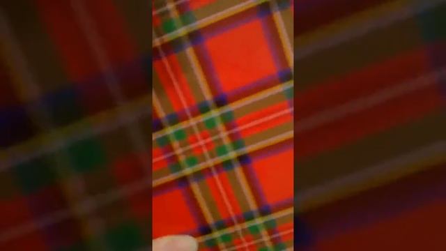 Район Чертаново Южное под видом озеленения района смотреть онлайн