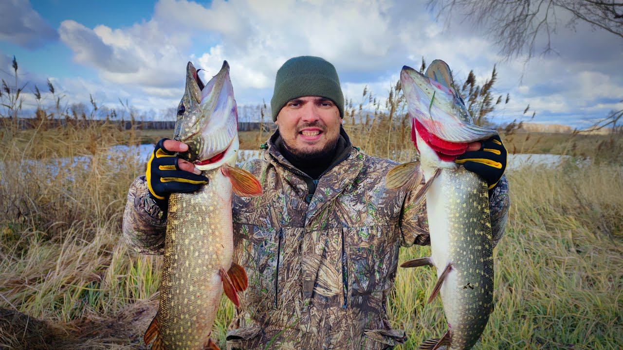 ТАКУЮ РЫБАЛКУ ЖДЁШЬ ВЕСЬ ГОД! ЖОР ЩУКИ В НОЯБРЕ Ловля щуки на спиннинг смотреть онлайн