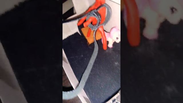 Моя мини конюшня смотреть онлайн