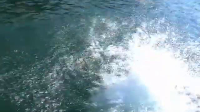 море, море (3я смена '09) смотреть онлайн