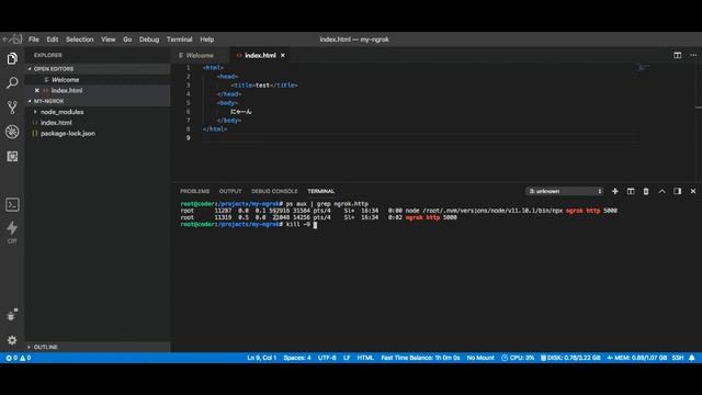 Kill ngrok process on Coder смотреть онлайн