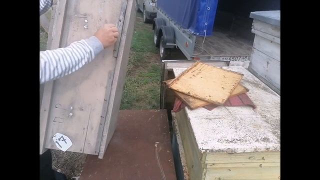 Удачное приобретение Ульи лежаки по цене банки меда смотреть онлайн