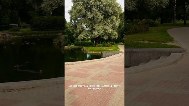 Minsk Belarus, родник около Храма Пресвятой Богородицы на проспекте Победителей смотреть онлайн