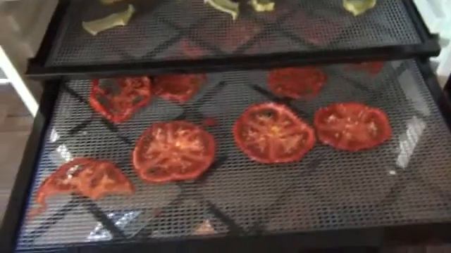 Dehydrating: Figs, tomatoes, honeydew melon, jalapeno смотреть онлайн