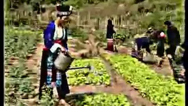 Копия видео "История ЮНЕСКО" смотреть онлайн