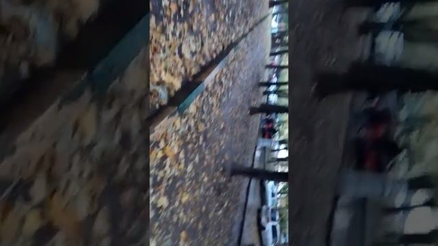 Бордюрный камень для кого? смотреть онлайн
