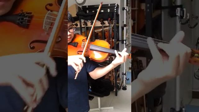 Howell European Violins | Karl Hofner 1990s (2)