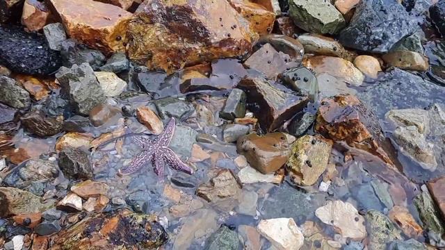 ??ВЛАДИВОСТОК | Токаревский МАЯК - Удивительное МЕСТО для Посещения⚓? смотреть онлайн