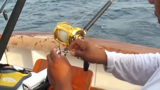 FISHING TIPS Ballyhoo смотреть онлайн