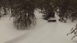 Снегоход Буран и Стелс Викинг едут по густому лесу.