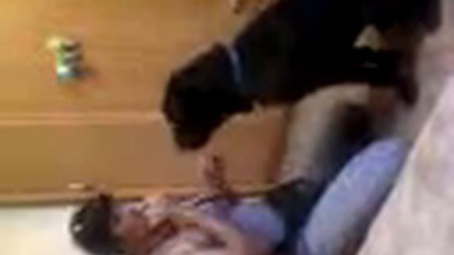 Шар-пей Тоша свистит в свисток смотреть онлайн