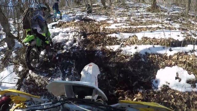 пичиклет отбросил хвост как ящерица. смотреть онлайн