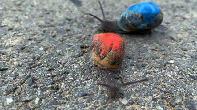 Francis Alÿs Children’s Game #31: Slakken смотреть онлайн