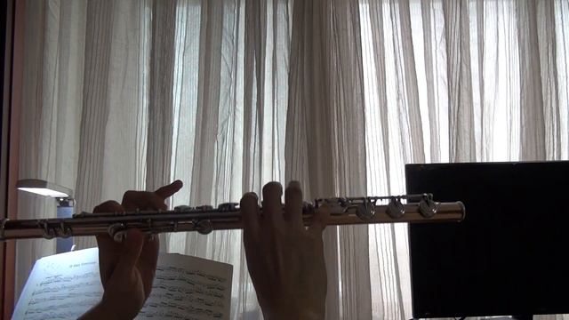 쾰러 Op.33. 1-1 смотреть онлайн