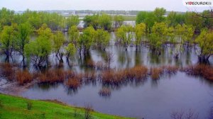 22  Образование почв и их разнообразие