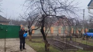 Генератор холодного тумана, обработка деревьев