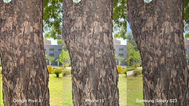 Google Pixel 8 vs iPhone 15 vs Samsung Galaxy S23 Camera Comparison смотреть онлайн
