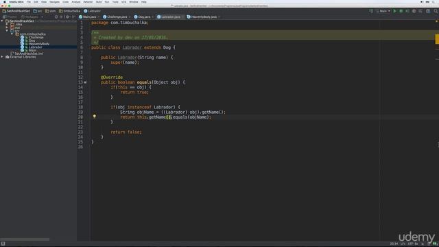 Java 8 Developer: issues with sub-classing and equals class 13 смотреть онлайн