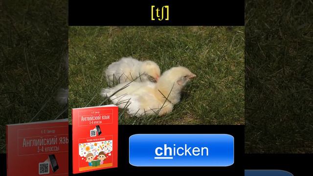 Задание С3 / Ганчар Н.П. Английский язык. 3-4 классы. Читаем легко и весело смотреть онлайн