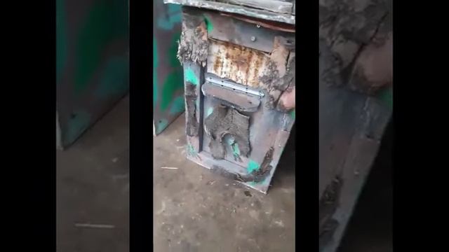 Ловушки ~ размер зависит в поимки роя смотреть онлайн