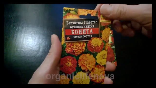 набор 3 пакета бархатцов. Кармен отклоненные. Бонита смесь . Оранжевая принцесса. смотреть онлайн