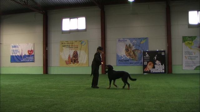 Лобастова Мария и Исгаард Арвен,класс ДЕТИ смотреть онлайн