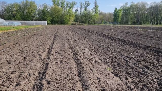 Посмотрите обязательно это видео до конца... смотреть онлайн