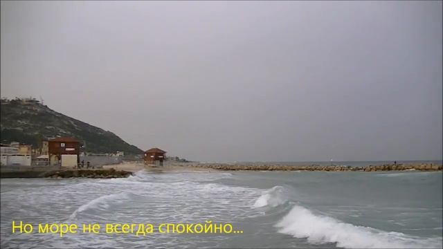 Прокатимся по Хайфе? (ч. 4) смотреть онлайн