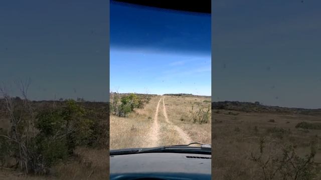 Цимлянское водохранилище.Криевская. смотреть онлайн