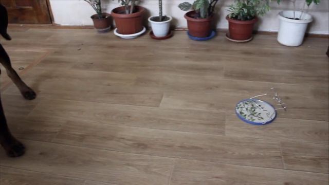 Крафт и зеркало! смотреть онлайн