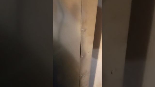 инкубатор АИ 1400 смотреть онлайн