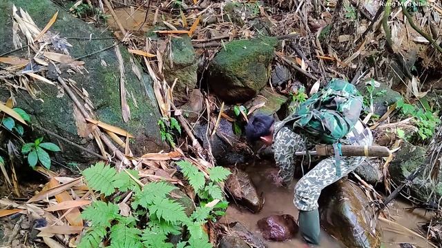 Survival Alone, Foraging In Heavy Rain - Rainforest - EP 5