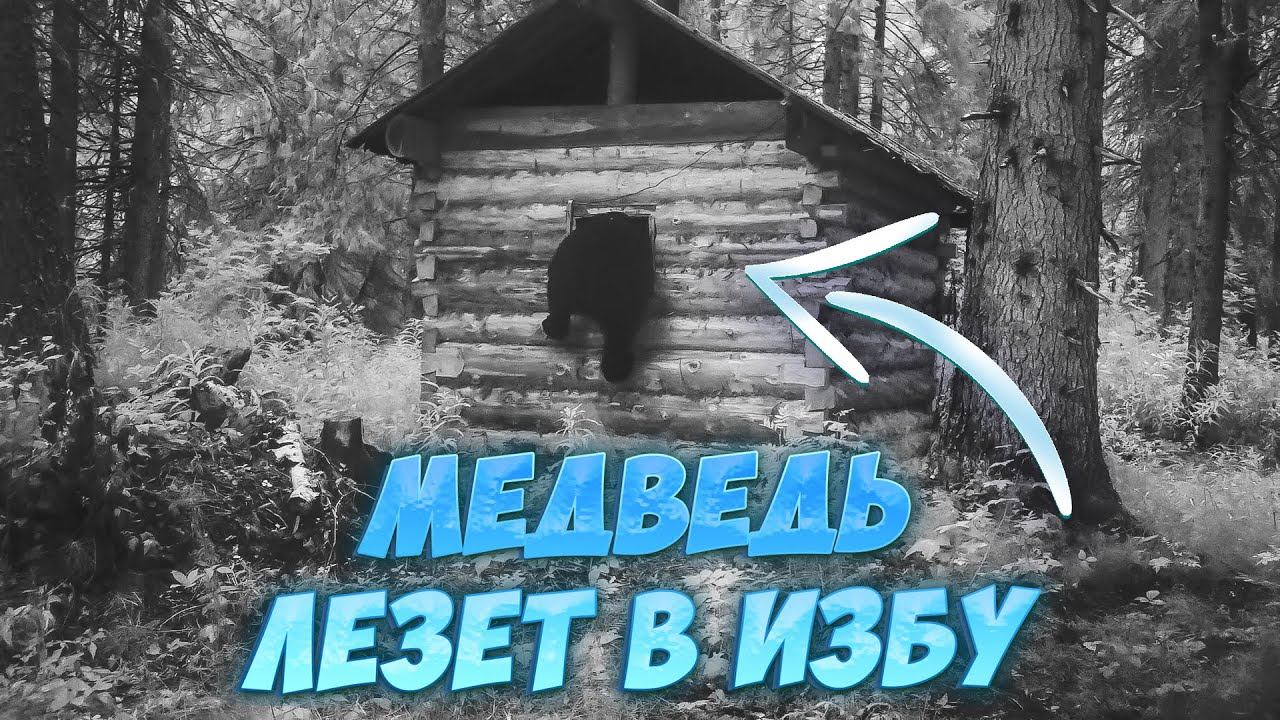 МЕДВЕДЬ ПРЁТ В ИЗБУ! НАЧИНАЮ ОХОТУ. ОТКРЫТИЕ 2023 смотреть онлайн