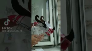 драконы из тик тока ( не мои )