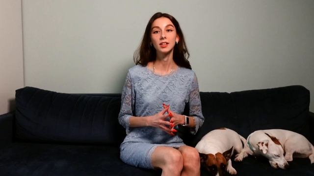 ANIMAL NEWS: Самая маленькая собака, арест кота и зачем собаке гадалка? смотреть онлайн