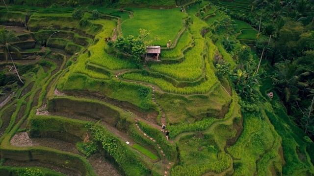 Check out my Yoga retreats in Bali and Kerala | Yogalates with Rashmi смотреть онлайн