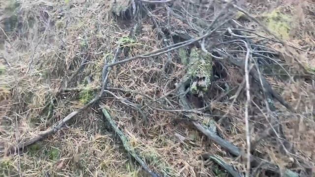 У нас новый чемпион по сбору Грибов! В лес в конце октября! Полтавская область. смотреть онлайн