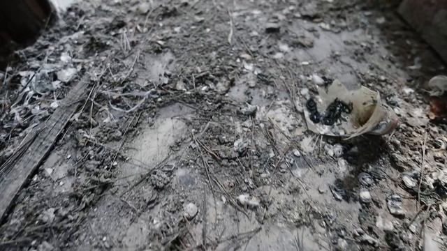 Посетили ЗАБРОШЕННЫЙ ЗАМОК, где сошла с ума хозяйка смотреть онлайн