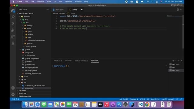How to customize VS Code terminal with one command | MacOS смотреть онлайн
